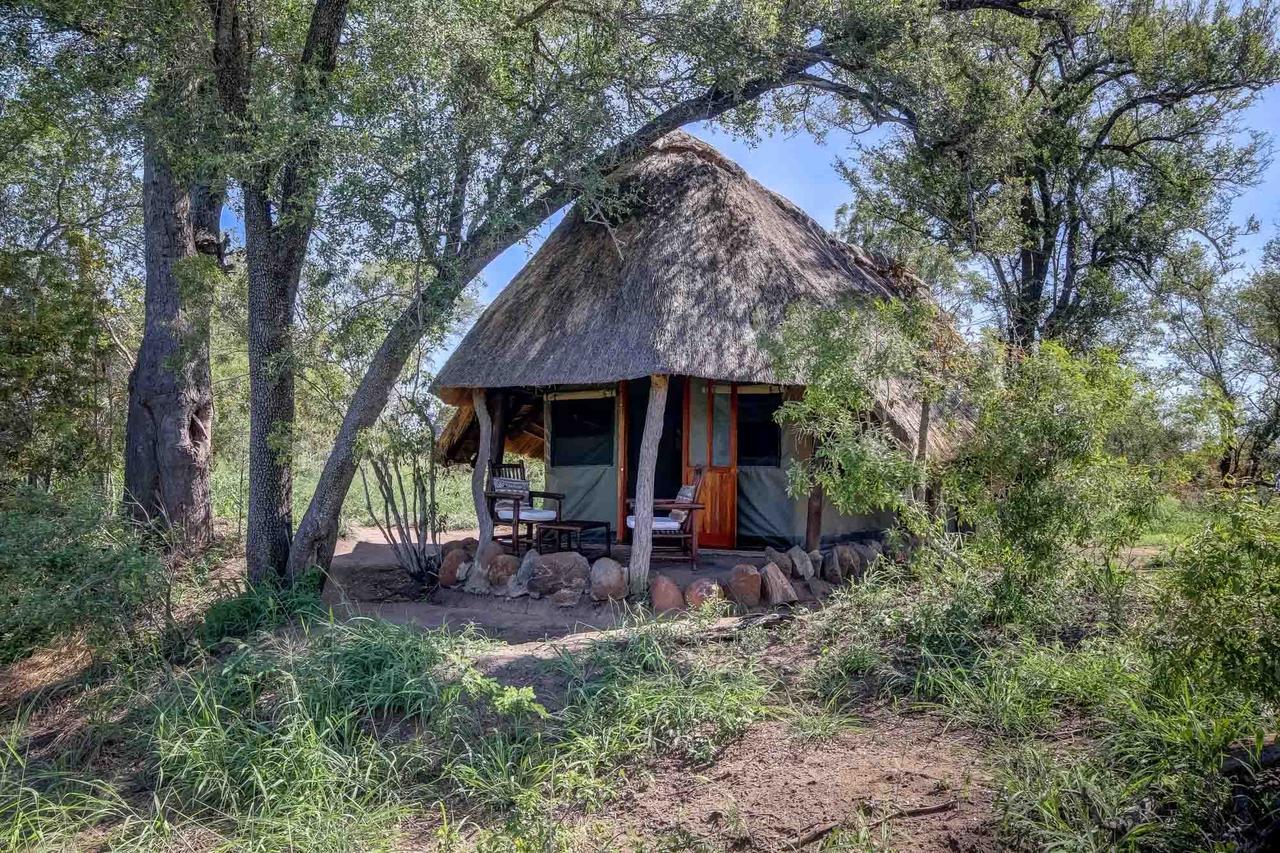 Villa Pungwe Safari Camp Wildreservat Manyeleti Exterior foto